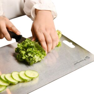 PEARLPET Stainless Steel Chopping Board for Kitchen Regular - Medium