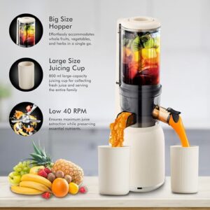 Havells Nutri Pure New Generation Cold Press Juicer image 6