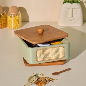 Brick Brown Jali Masala Box, Mango Wood image 2
