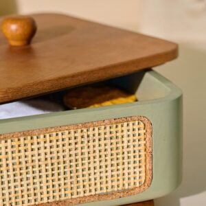 Brick Brown Jali Masala Box, Mango Wood image 4