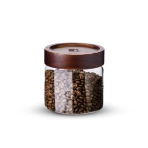 Bergner Acadia Borosilicate Glass Jar with Airtight Wooden Lid - 580 ml