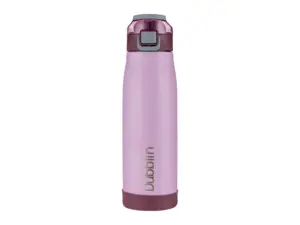 Dubblin Club 750ml Water Bottle – Violet